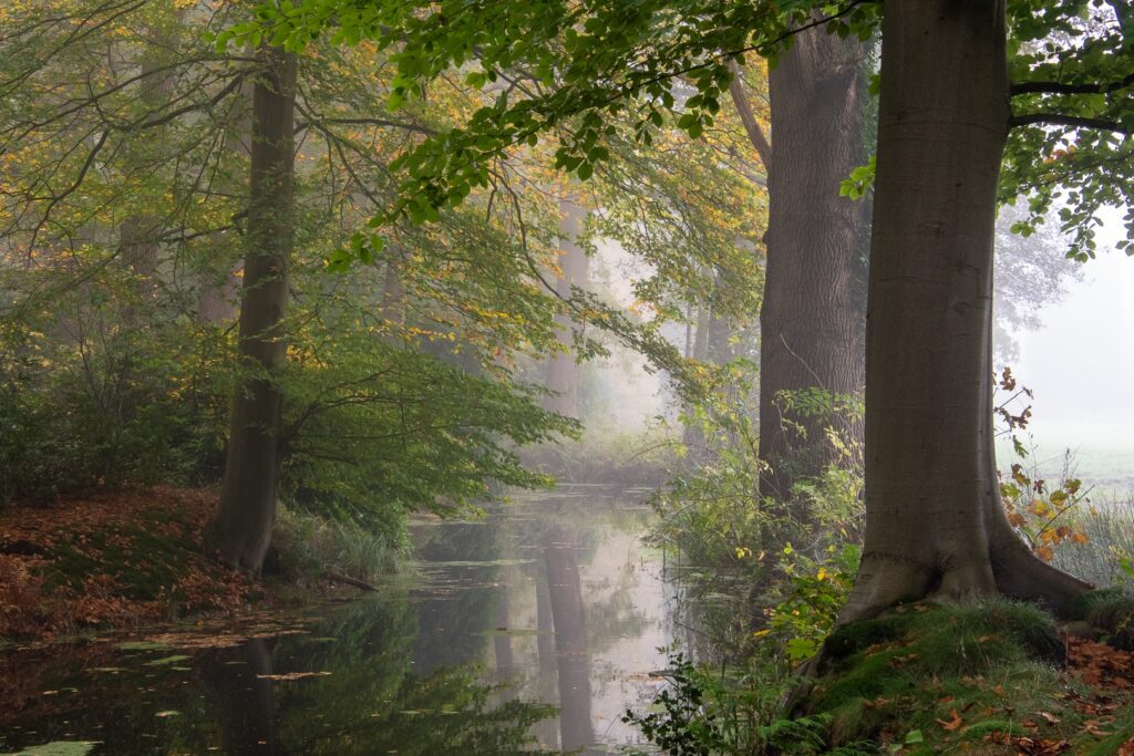 Zondag 15 November: clubdag Landgoed Ampsen