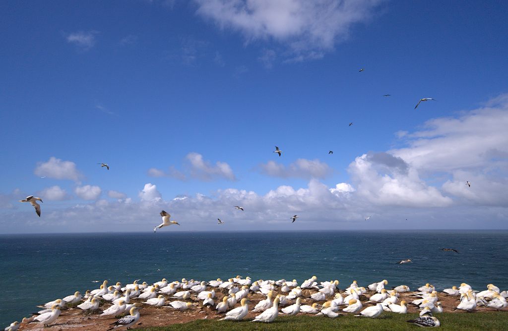 Clubavond 3 september, 19.30 uur - KB HELGOLAND