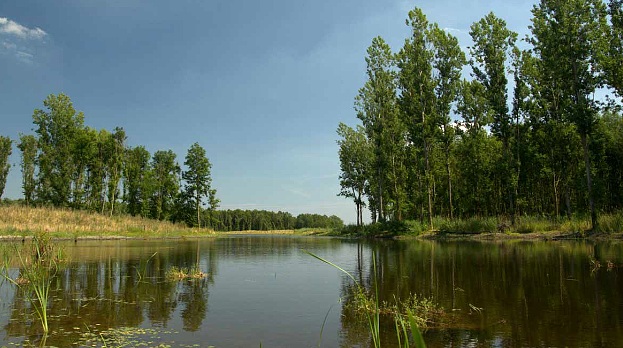 Clubdag zaterdag 19 september: De Stille Kern - Horsterwold